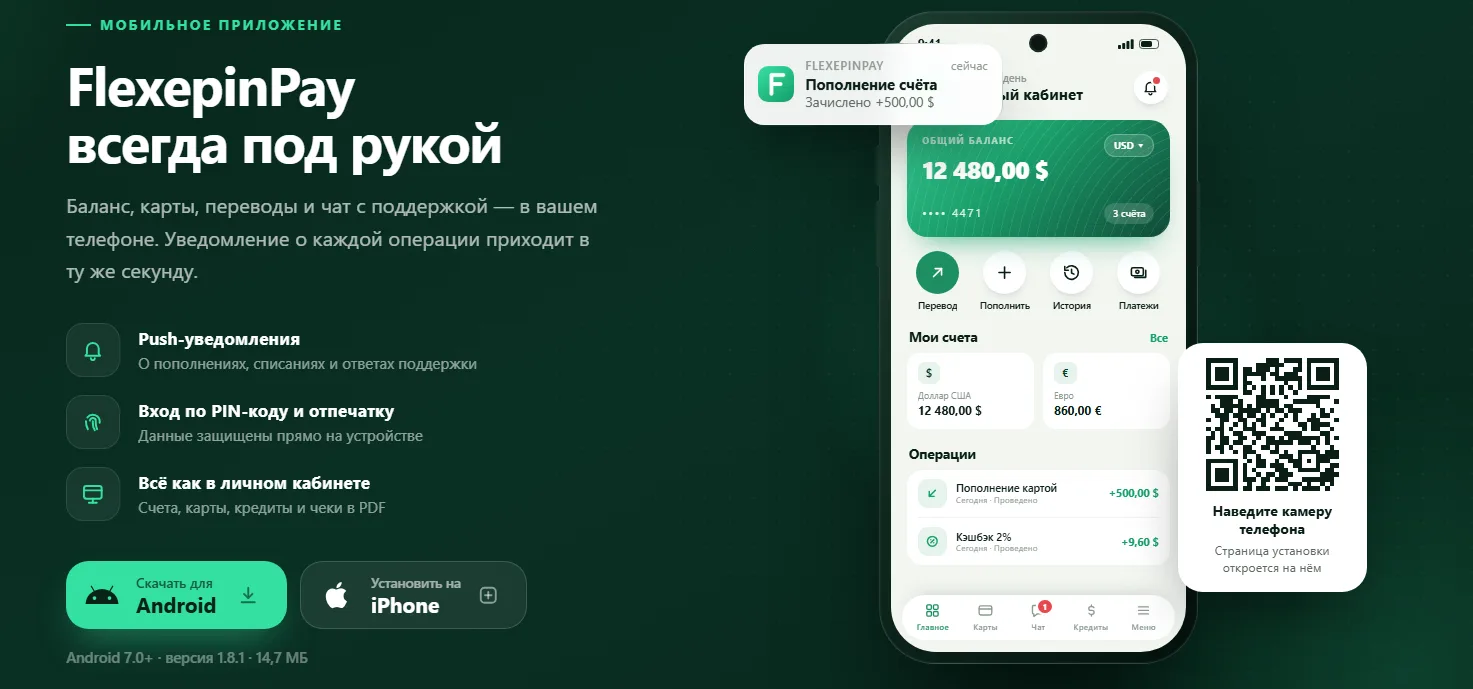 Обложка обзора платёжного сервиса Flexepinpay